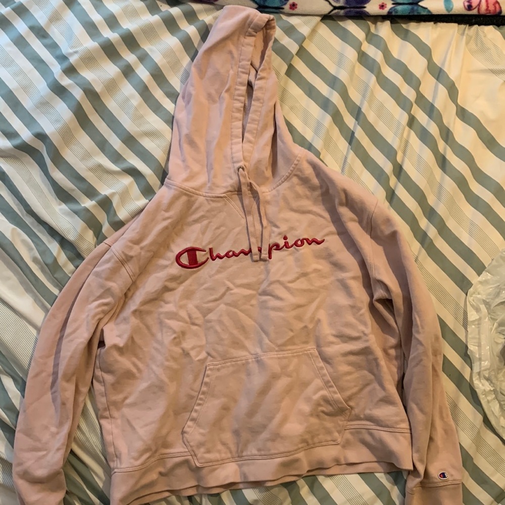 champion cropped hoodie